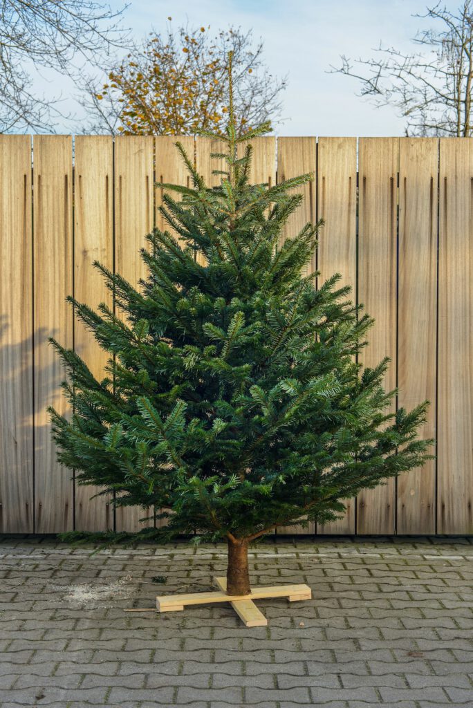 Online kerstboom thuisbezorgd! - DeKerstboomShop.nl